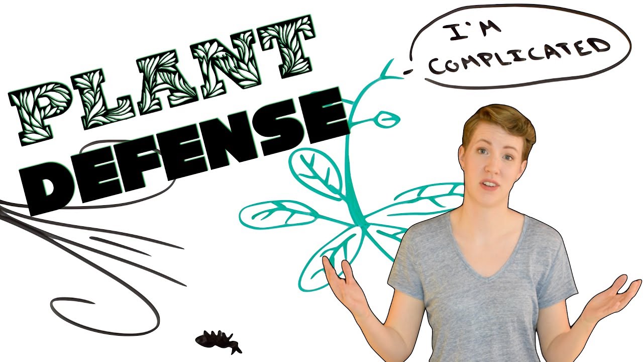 Plant Defense and Disease Resistance!