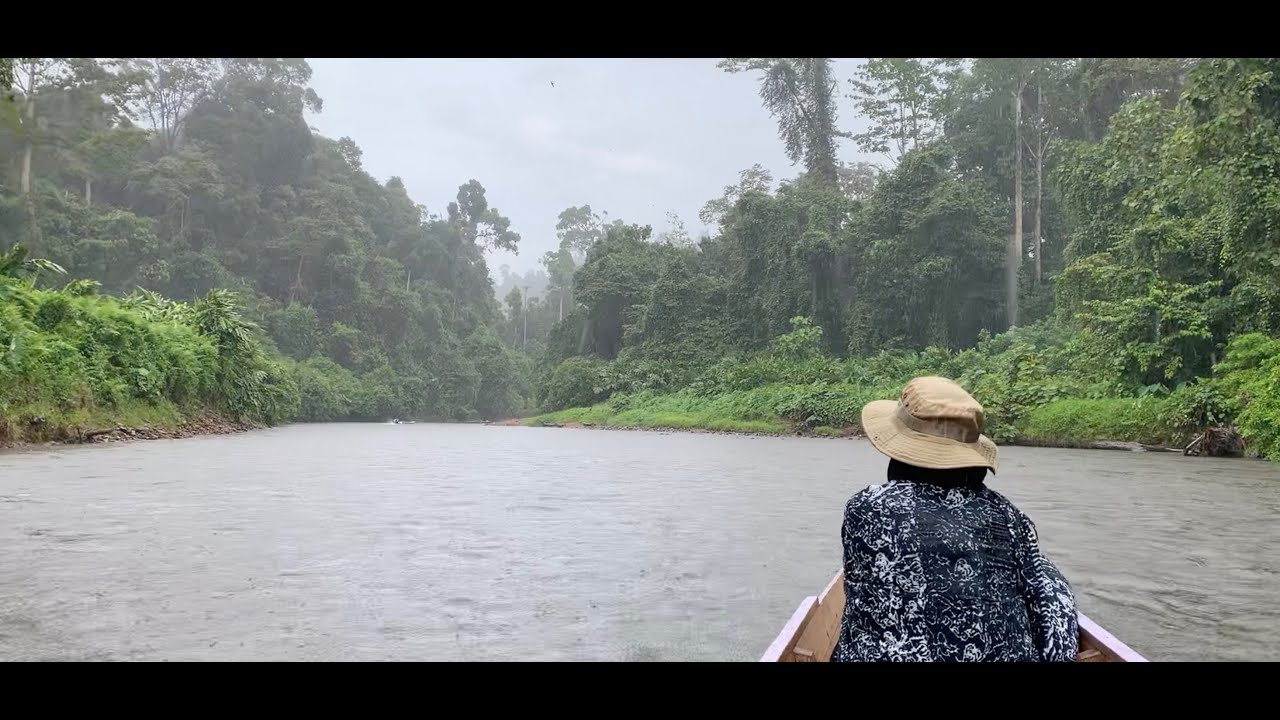 The best way to protect forests? It's simple.