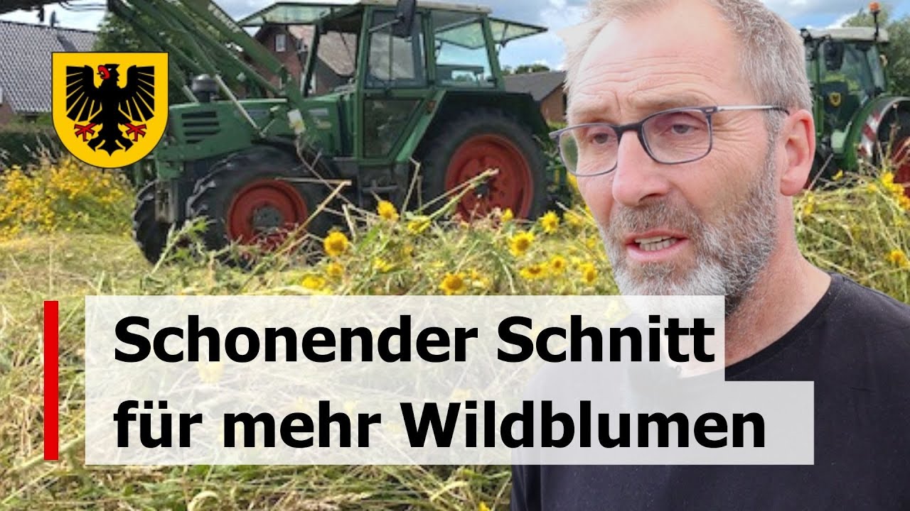 Schonender Schnitt f&uuml;r mehr Wildblumen