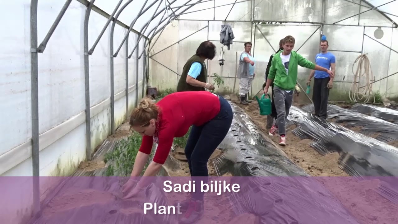 Plastenik u 4 minute obrazovanje za početnike Greenhouse in 4 minutes Great