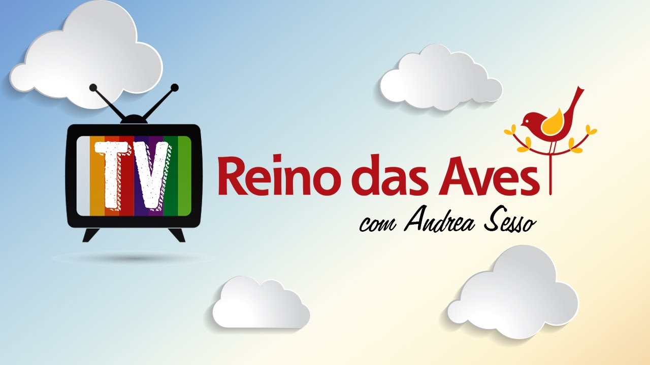 O Reino das Aves chegou no Youtube!