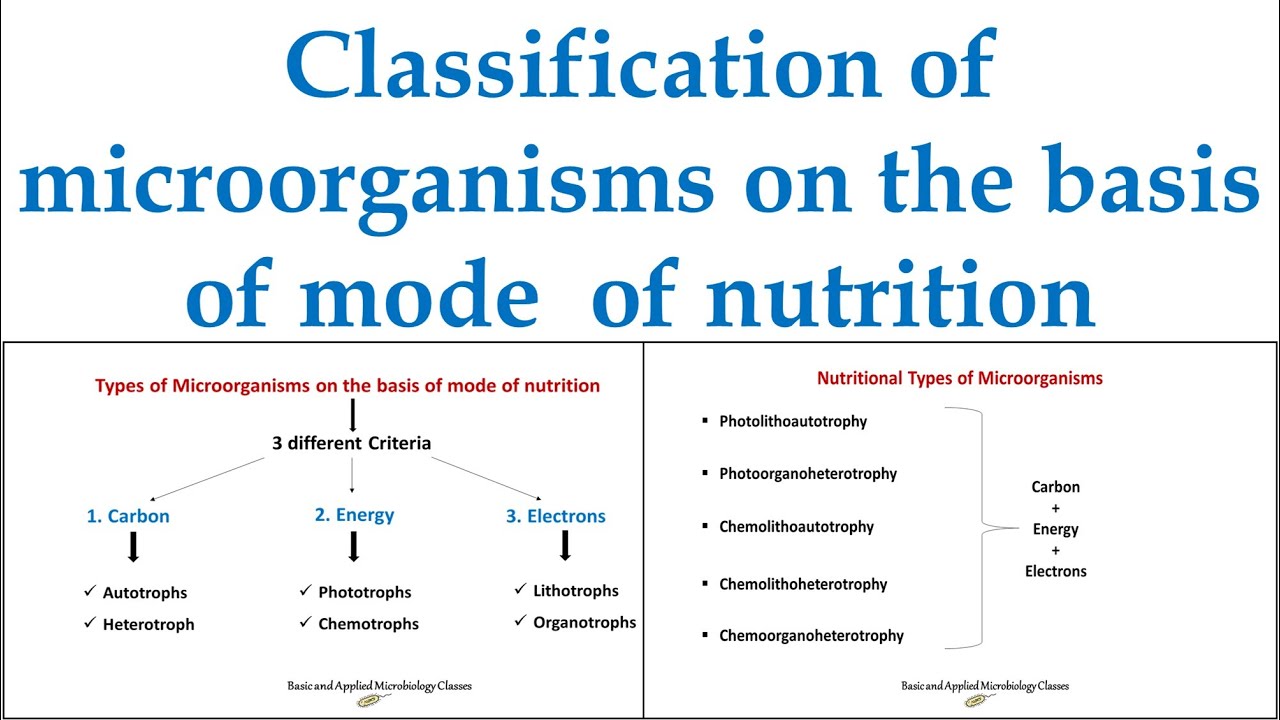 Classification of microorganisms on the basis of mode of nutrition | Nutritional types of microbes |