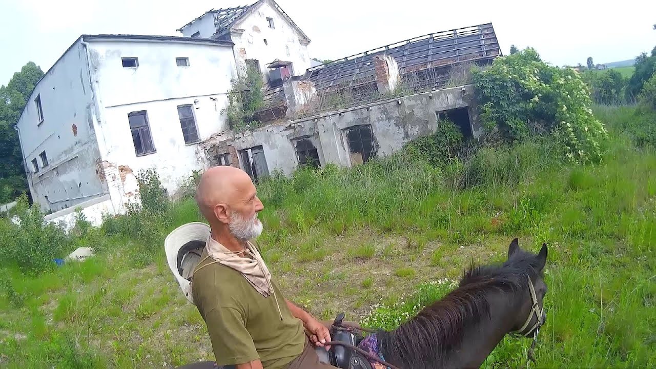 GORZELNIA RUINY PTAKI KONIE