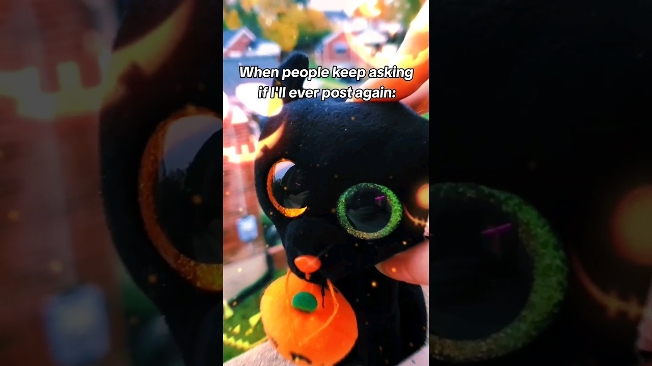 SNEAK PEAKS 🎃🦊🎃 // #Beanieboo #beanieboos #edit #editing #editor #animal #animals #cat #cats #kitty