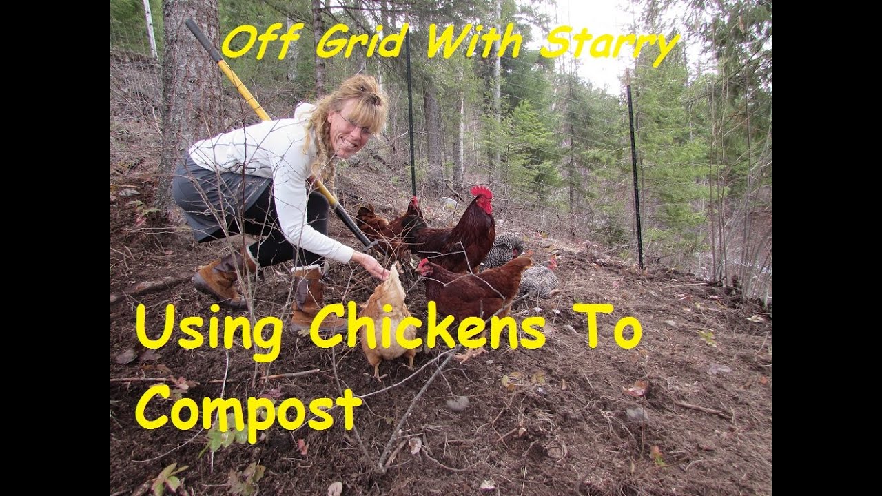How To Make Compost With Chickens~ The BEST Compost EVER!