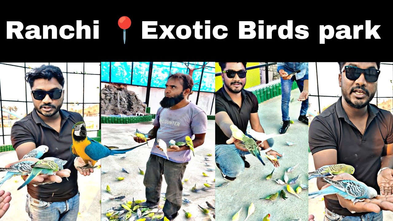 wild wadi Ranchi Exotic Birds Park | रांची Beautiful birds park at tupudana