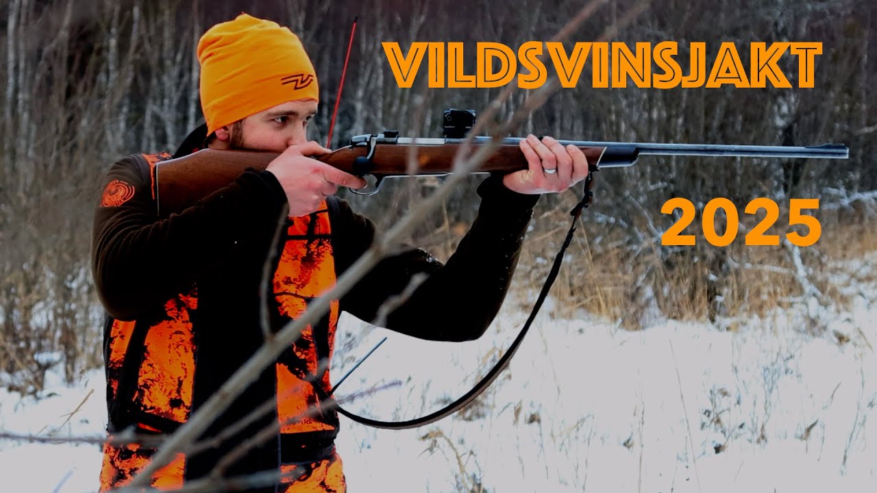 Vildsvinsjakt med hund - 4K