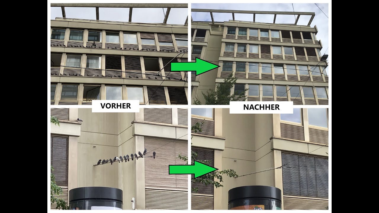 Tauben: Probleme und Lösungen (Elektroabwehr)