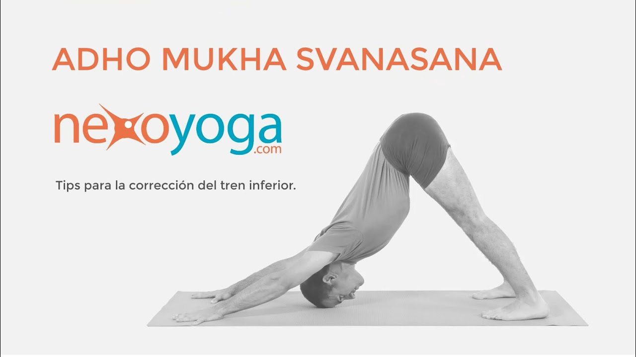 Adho Mukha Svanasana (perro boca abajo). Aprende la corrección del tren inferior en este asana.