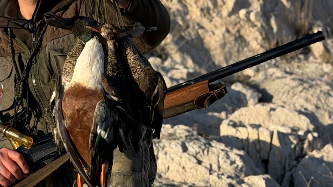 Yağmurda ördek avı 🦆🦆 sabah beki fena ördek geldi Ördek Avı 31/01/2026  her yer ördek oldu 🔥🔥