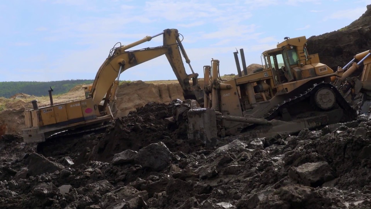 Think Like a Scientist: Yukon Fossil Rush | HHMI BioInteractive Video