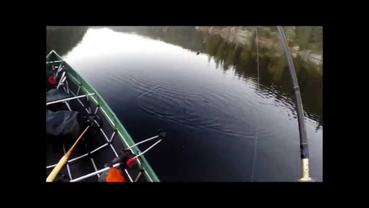 fisketur til Nøklevann 16 09 2014