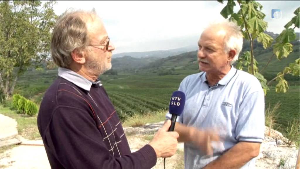 Jermanovo oko: Trte kar na javni poti