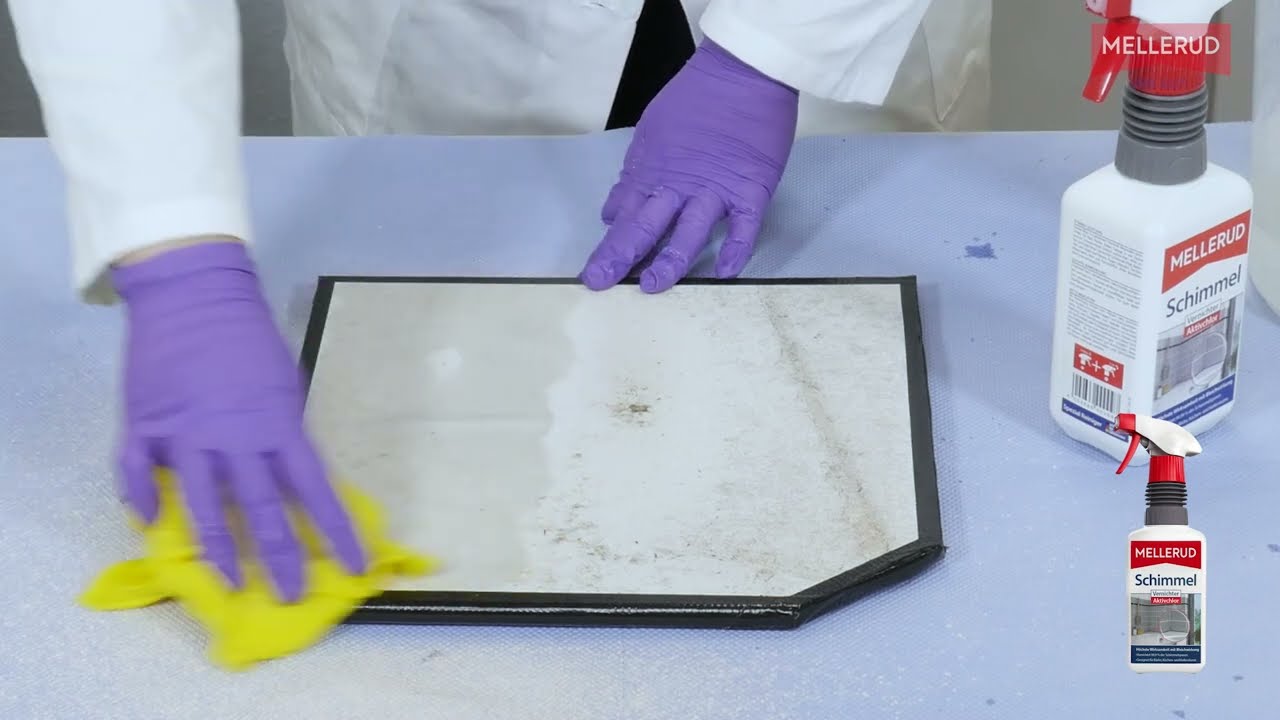 Schimmel effektiv vernichten | MELLERUD Schimmel Vernichter