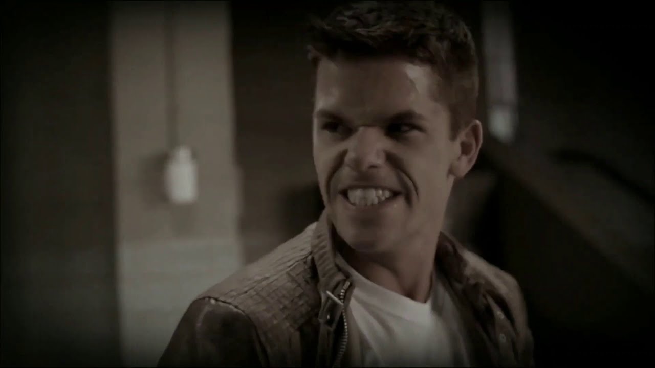 Ethan and Aiden Steiner  