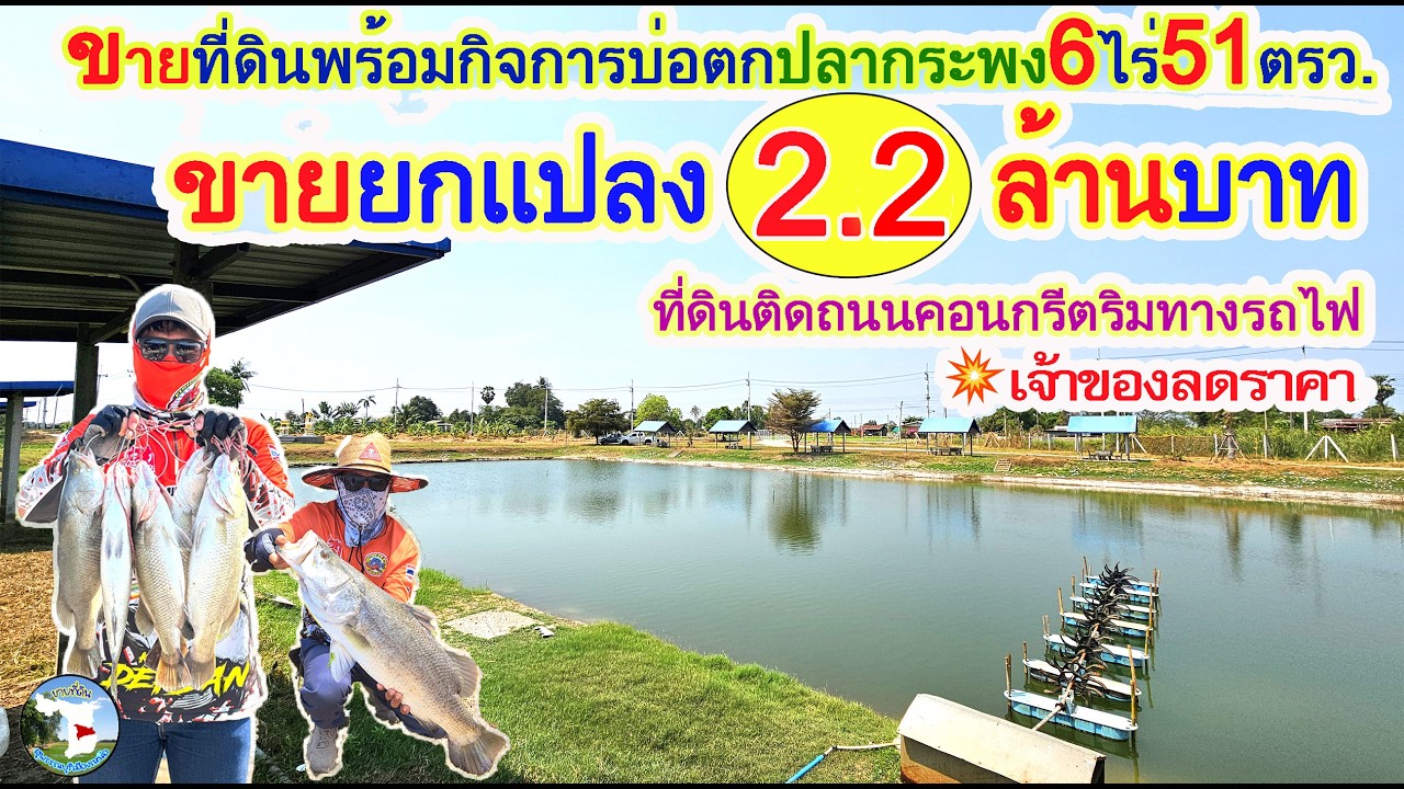📌ขายที่ดินพร้อมบ่อตกปลากระพง👉6ไร่51ตรว💶ยกแปลง2.5ล้านบาทต.มะขามล้มอ.บางปลาม้าจ.สุพรรณบุรี📞087-7697664
