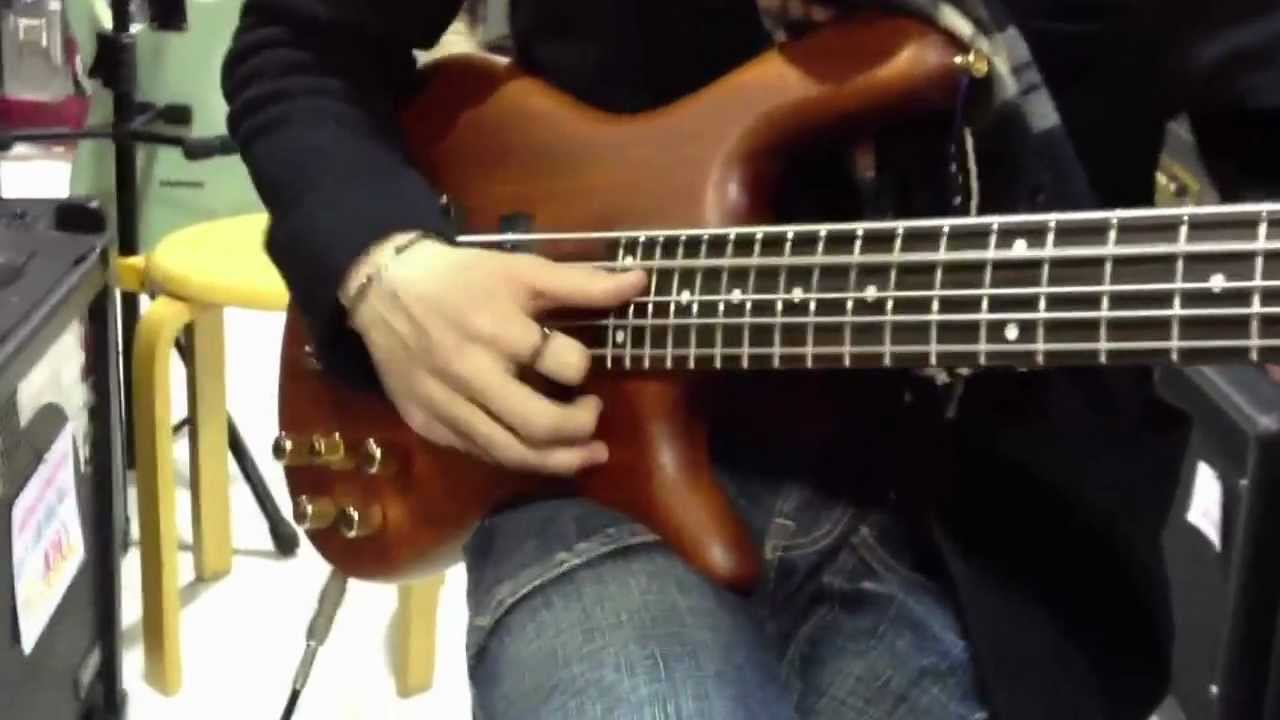 bass SX 5strings