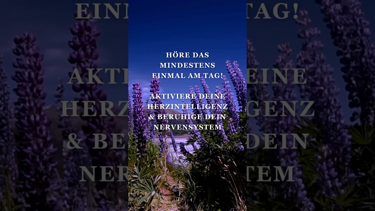 Herz & Nervensystem in Balance | 3 Minuten Kurze Meditation