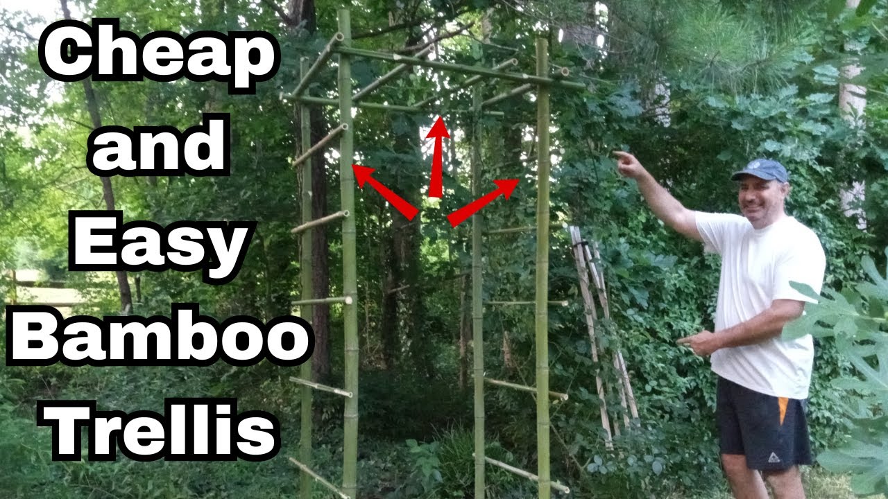 Easy DIY Bamboo Trellis - for Climbing Plants