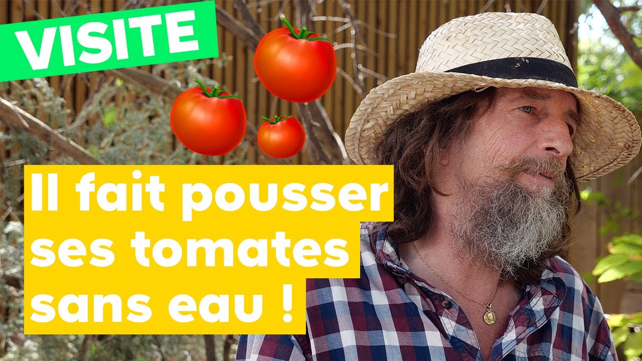 Potager sans eau et semence paysanne : Rencontre avec Pascal Poot