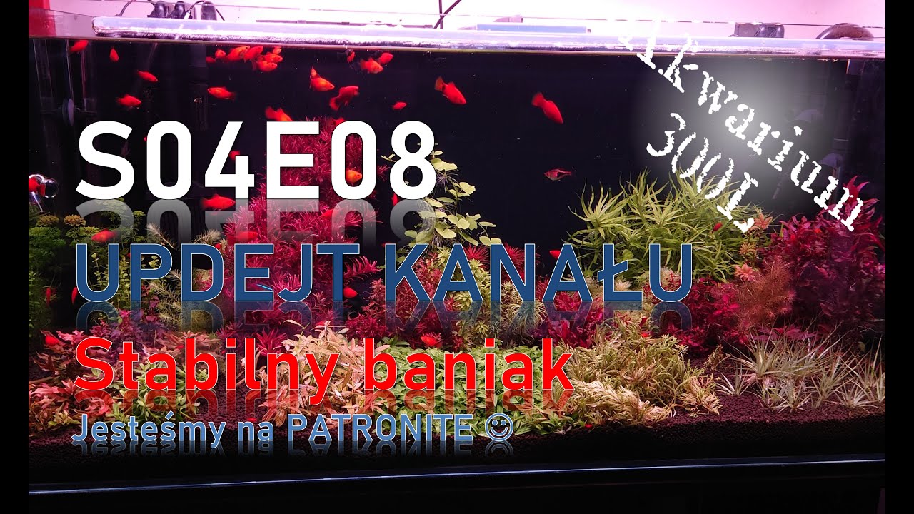 VLOG 08/2025 - W końcu normalność w baniaku! Updejt kanału.