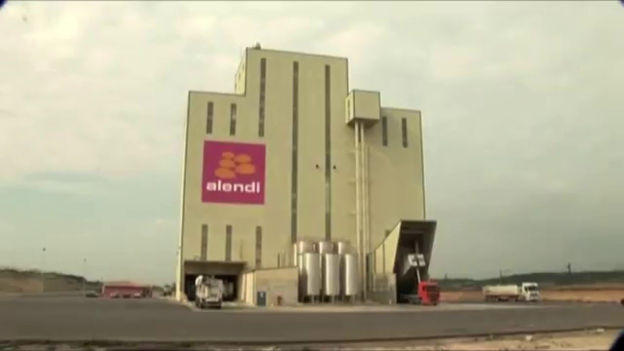 ARS ALENDI 