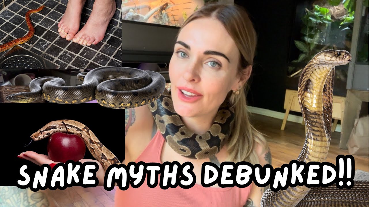 Snake Myths Debunked! The Truth About Snakes 🐍