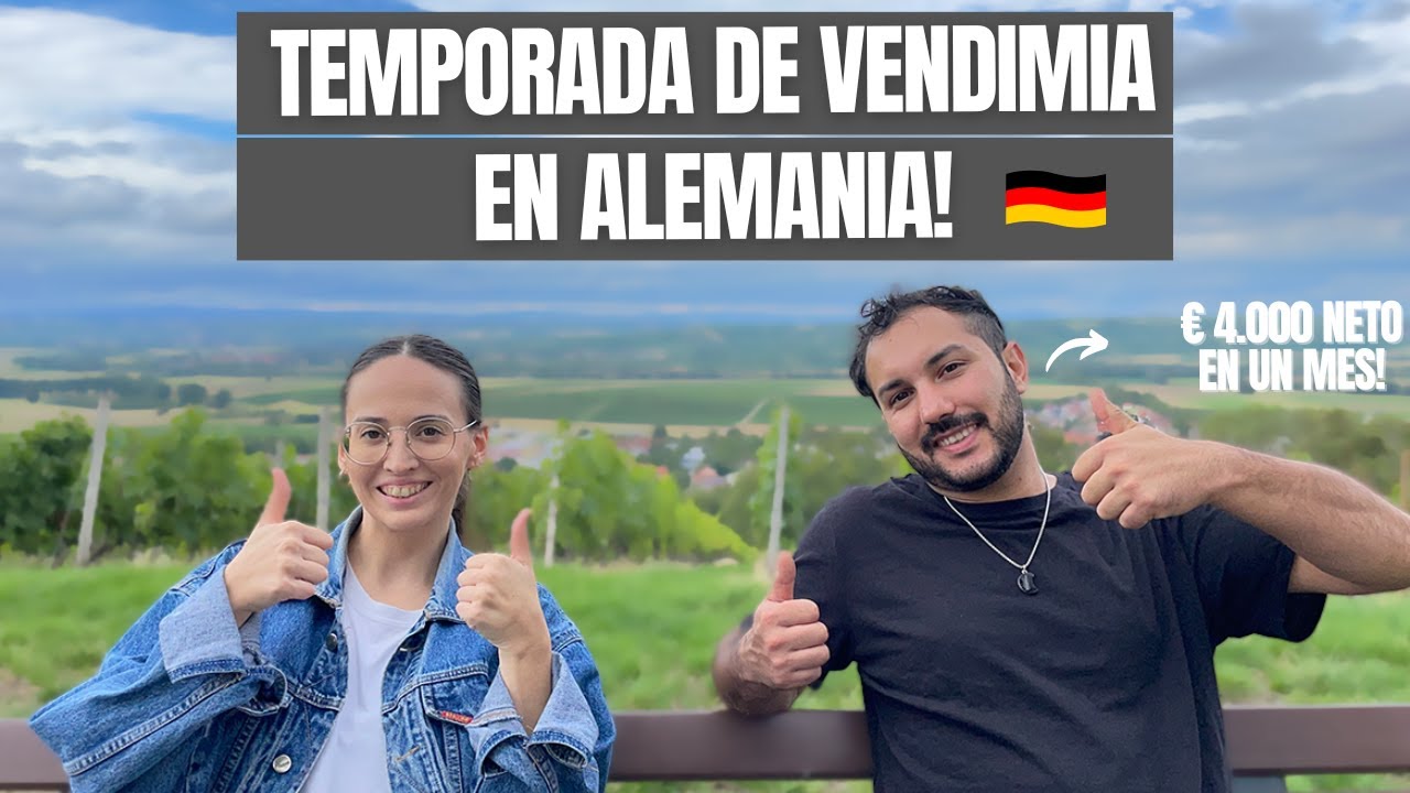 TRABAJAR EN ALEMANIA en la VENDIMIA: ¿Cómo conseguir trabajo? ¿En que fecha es? ¿Pagan bien? 🇩🇪✅
