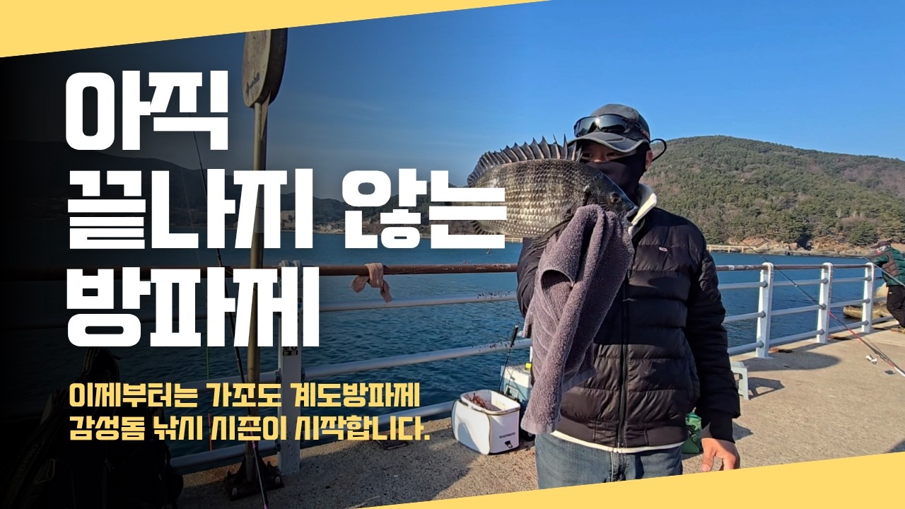 영등철 마릿수로 손맛보는 감성돔 낚시 포인트는 미끼