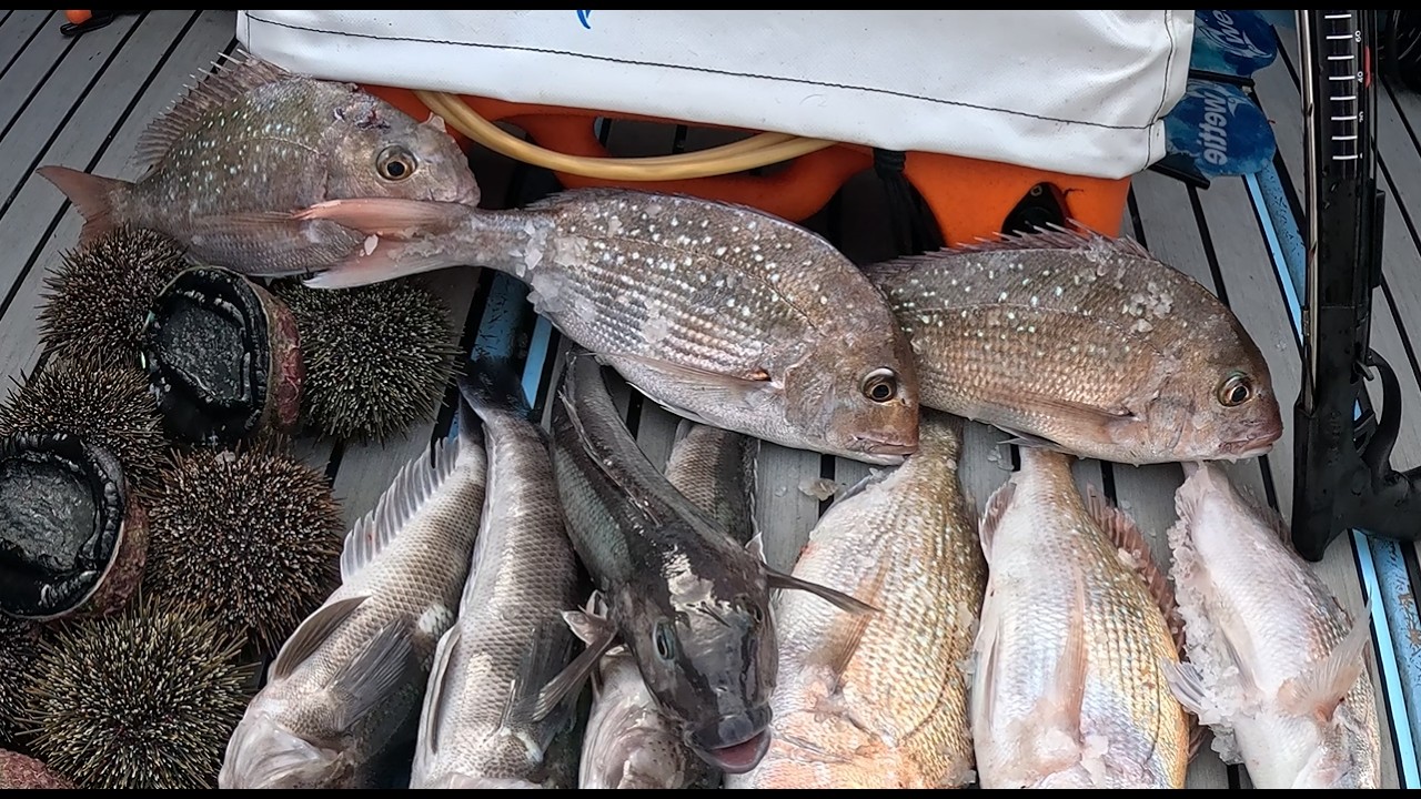Snapper and Blue cod fishing mid winter