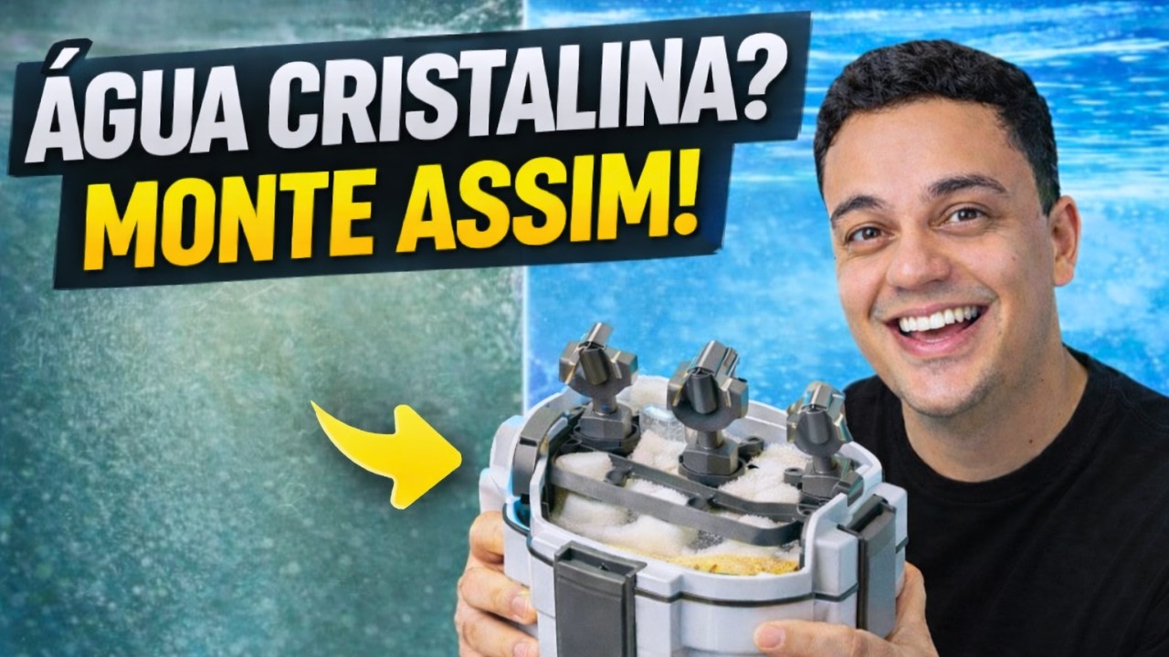 Como Deixar a Água do Aquário Cristalina (Monte o Canister Assim!)