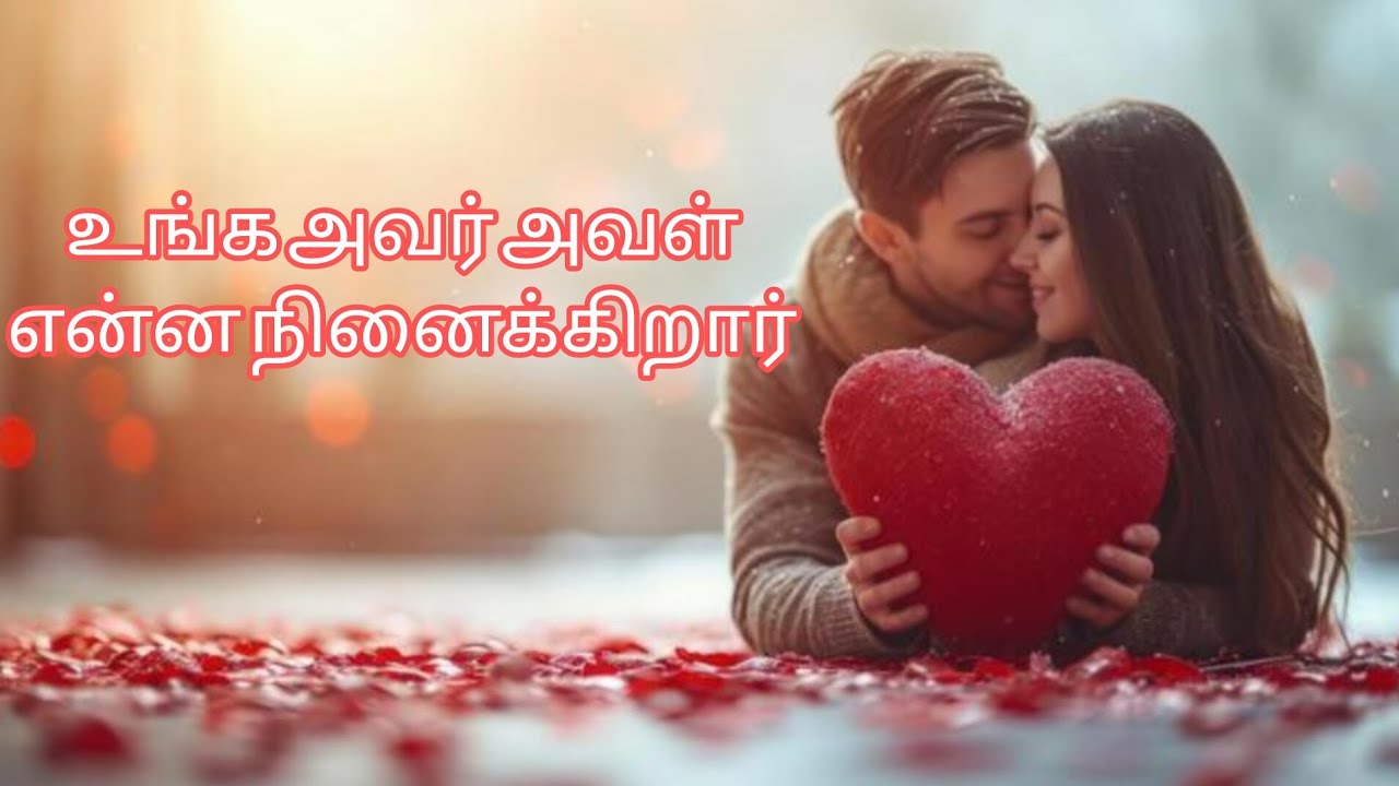 ❤️🎁🎁❤️❤️உங்க person தற்போது என்ன situation face பண்ணிட்டு இருக்காங்க #twinflame #tarotcardreading 