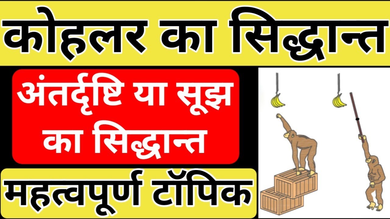 B.Ed【SEM - 1】कोहलर का अंतर्दृष्टि या सूझ का सिद्धान्त | KOHLER'S INSIGHT THEORY | कोहलर का सिद्धान्त