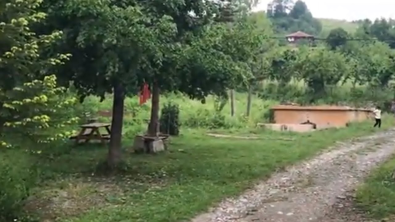 ÇATALZEYTİN SIRAKONAK ( SOMAY ) 2019