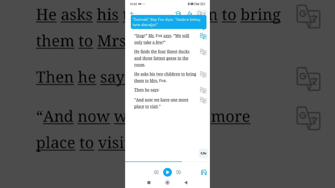 5) Fantastic Mr. Fox (16 17 18).MP4