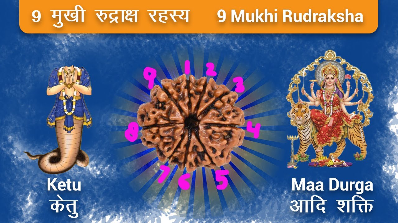 9 मुखी रुद्राक्ष के फायदे | Original 9 Mukhi Nepali Rudraksha Benefits | Rudraksha for Ketu