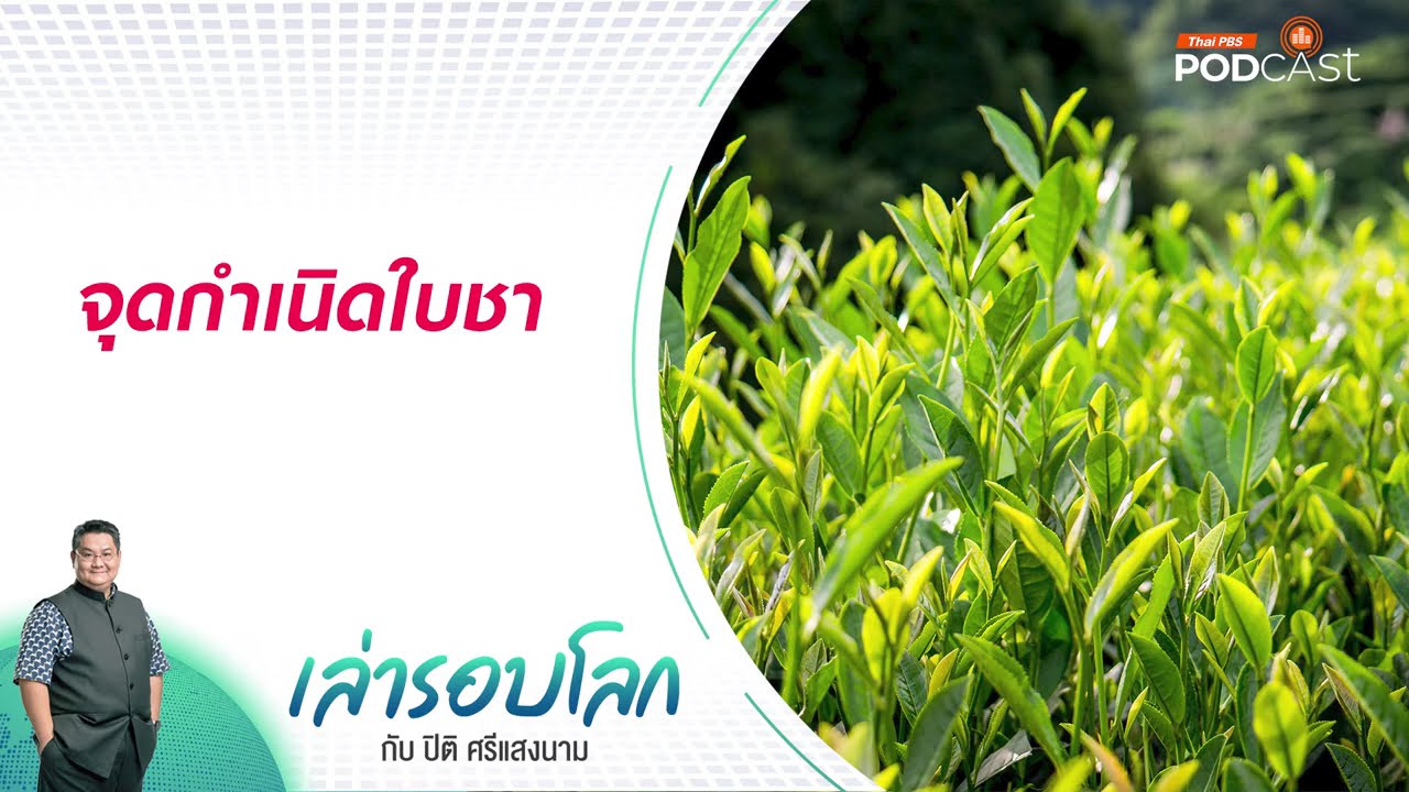 จุดกำเนิดใบชา | เล่ารอบโลก