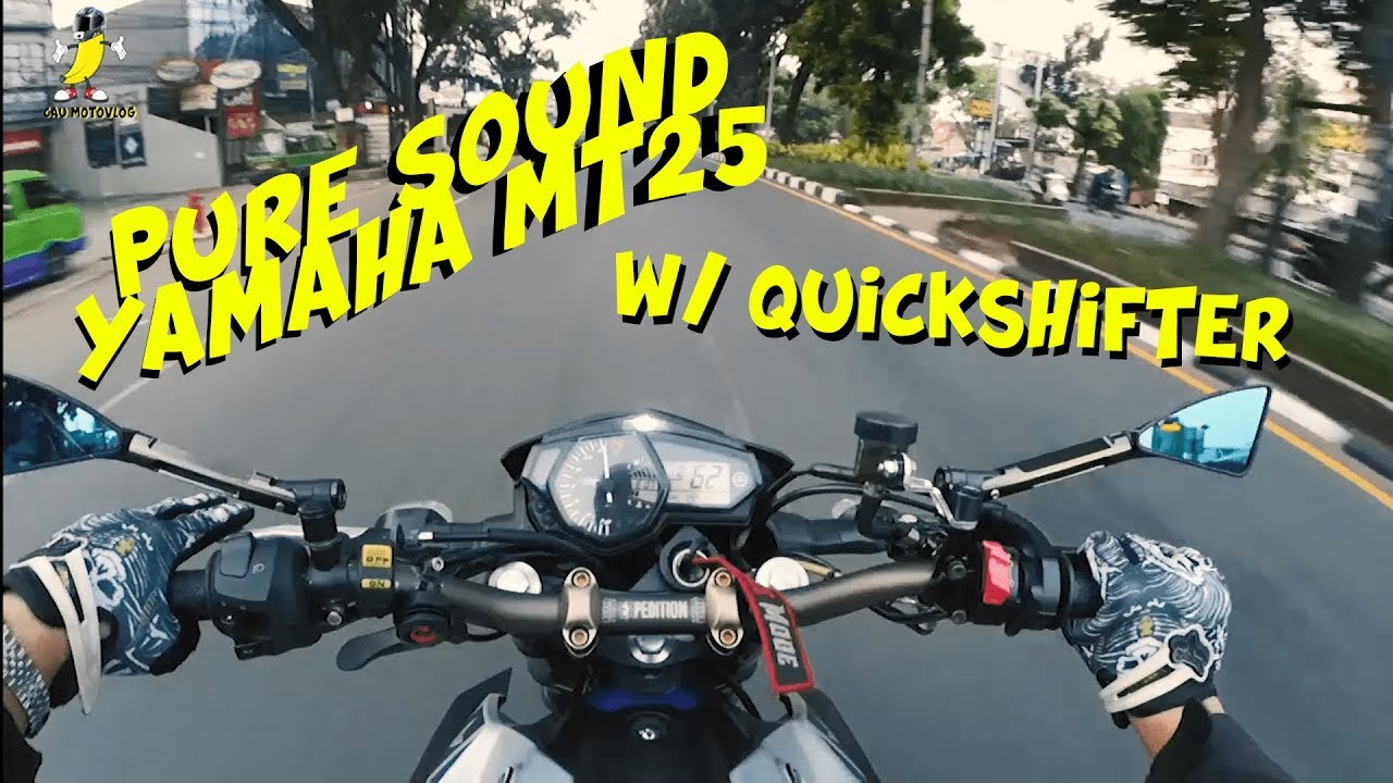 Pure sound Yamaha MT25