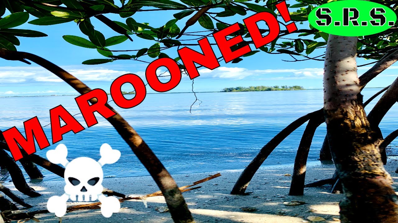 SPOIL ISLANDS/INDIAN RIVER LAGOON/DUAL KAYAK ISLAND ADVENTURE