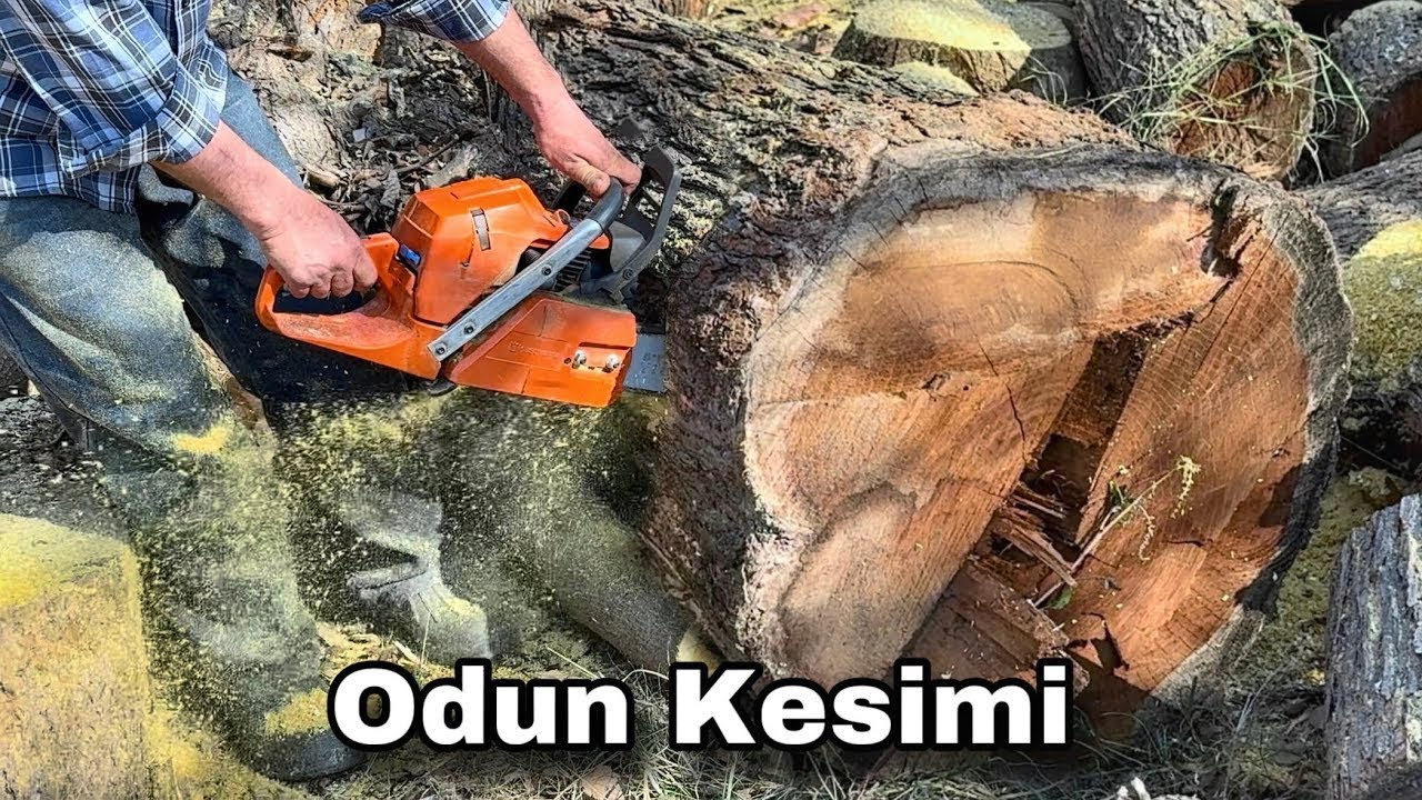 Güçlü Makine Husqvarna 372xp-xtorq Kesim Motoru