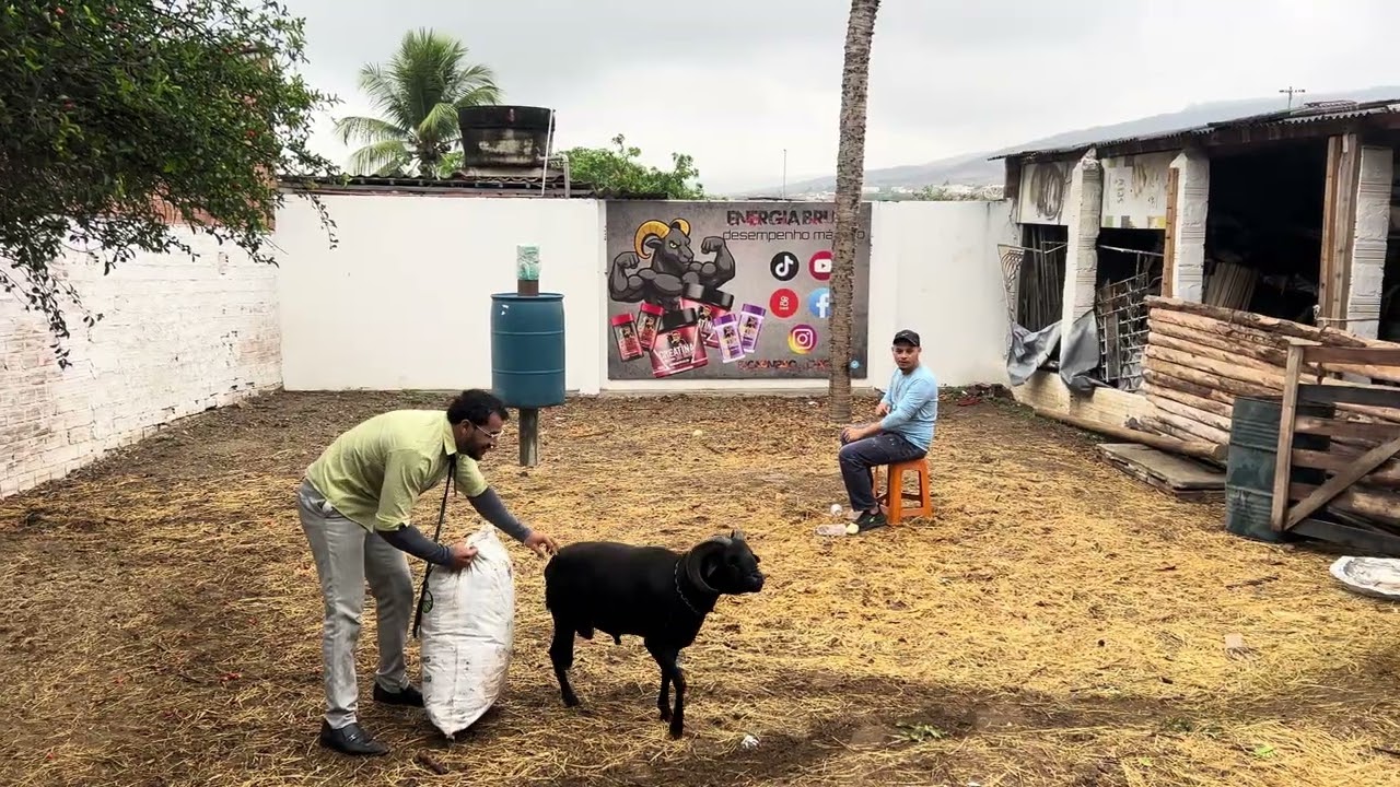 MANETIKIM TROUXE A TROPA, PRA TOMAR CAFÉ DA MANHÃ NO QUINTAL 😳