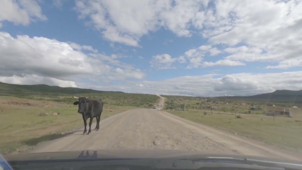 Dash Cam Tours - Rural Kwazulu Natal