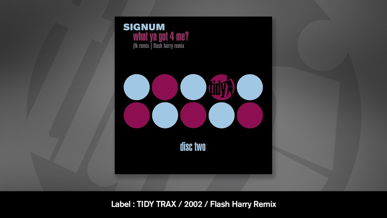 Signum - What Ya Got 4 Me (Flash Harry Remix)
