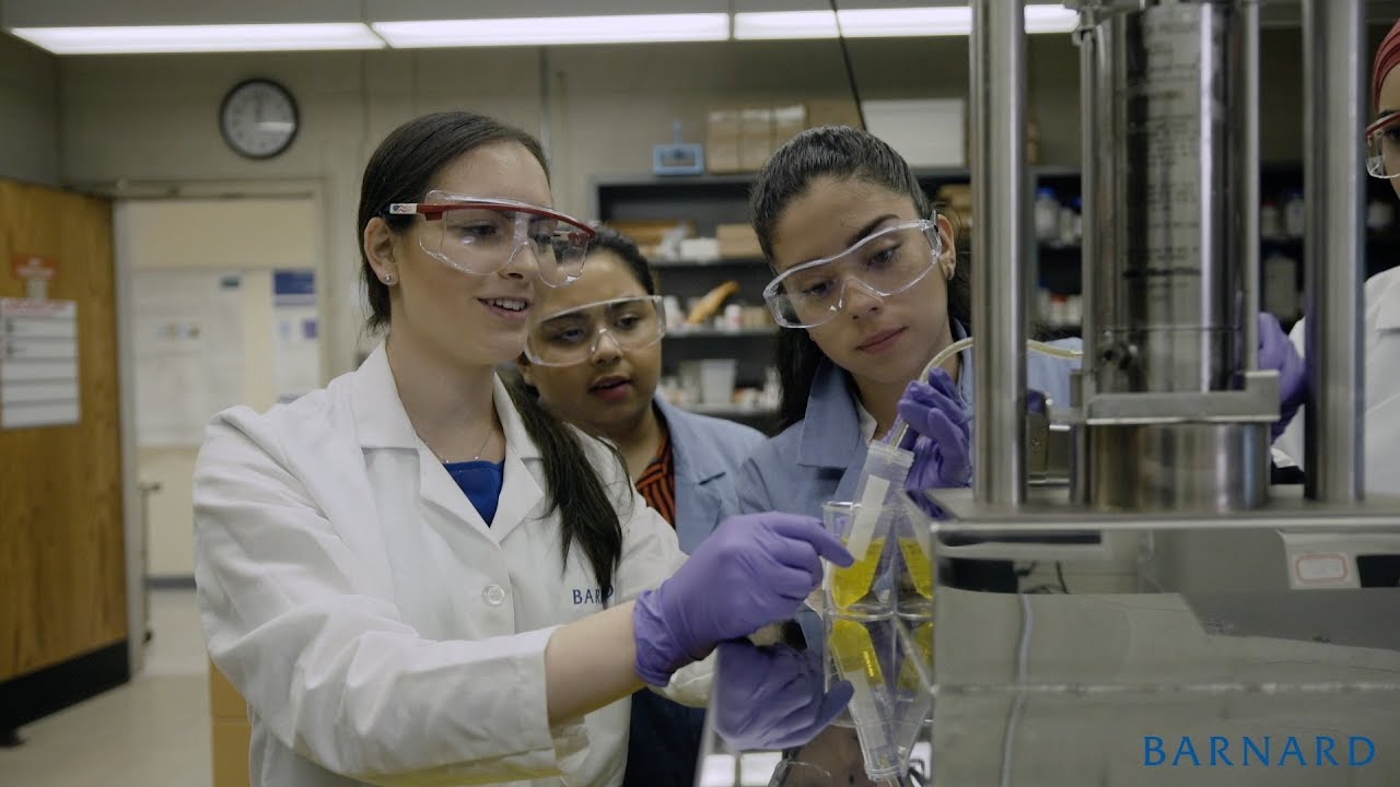 Summer Research Institute 2018: Targeting Alzheimer's Disease