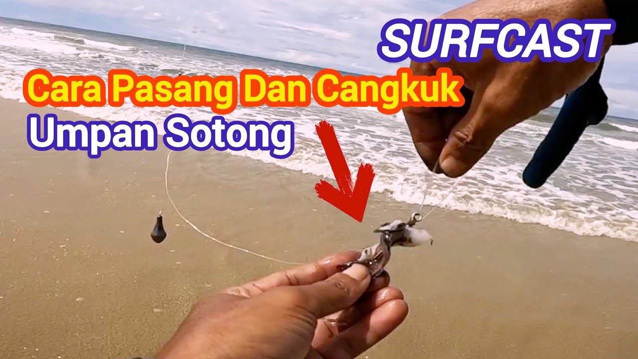 Cara Memasang Umpan Sotong Agar Pemancingan Sukses | Surfcasting Dan Mancing Bottom Tepi Pantai 