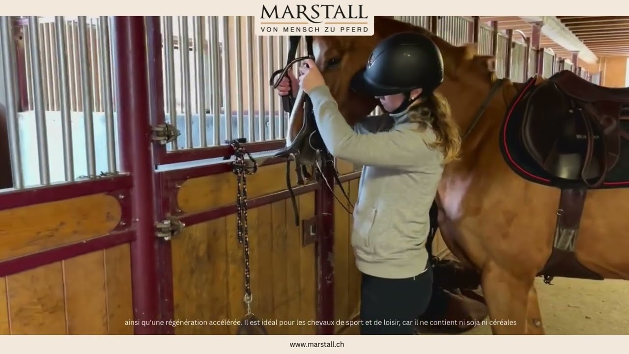Marstall Amino Muskel