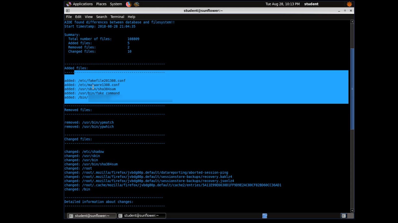 What it looks like when a system admin find a root kit
