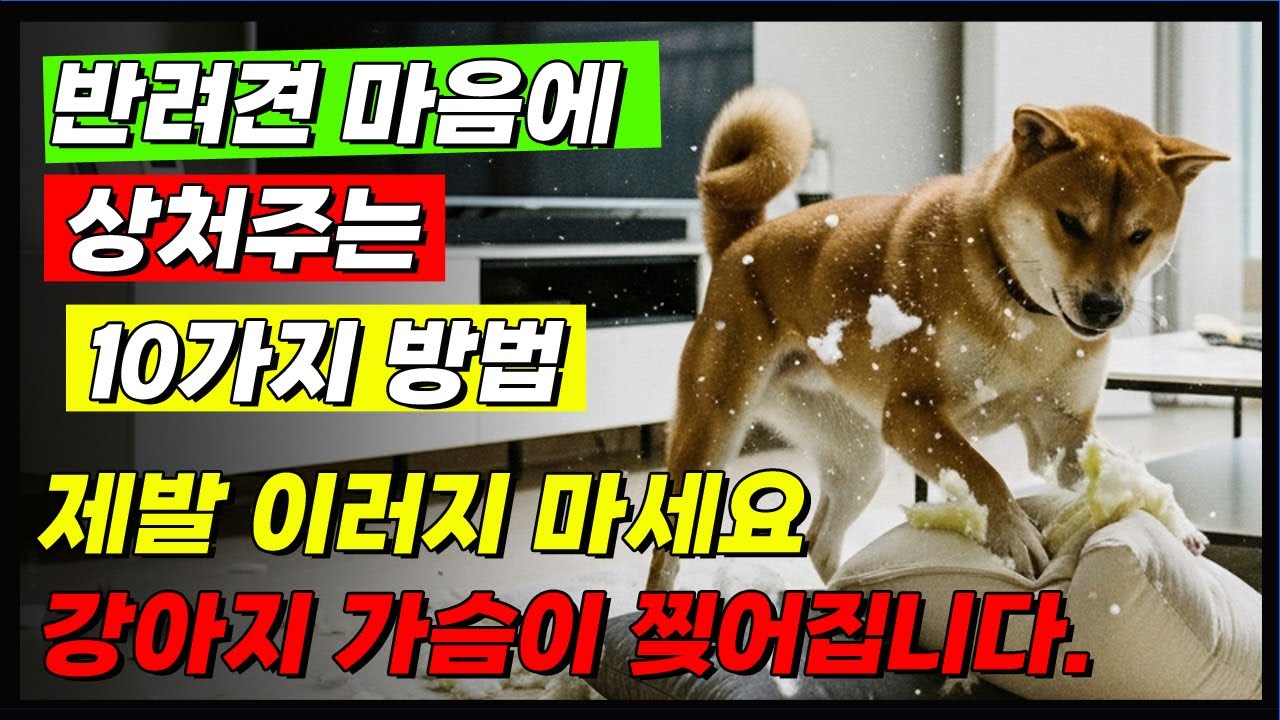 당신이 모르고 있는 반려견에 상처주는 10가지 ,제발 이러지 마세요,강아지 가슴이 찢어집니다. ㅣ강아지 행복 ㅣ반려견 행동 ㅣ 강아지심리