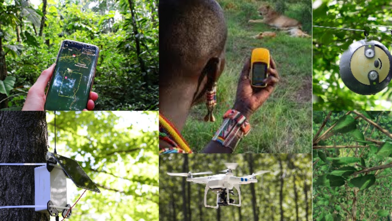Innovative Conservation Technologies: Introducing new tools aiding wildlife preservation