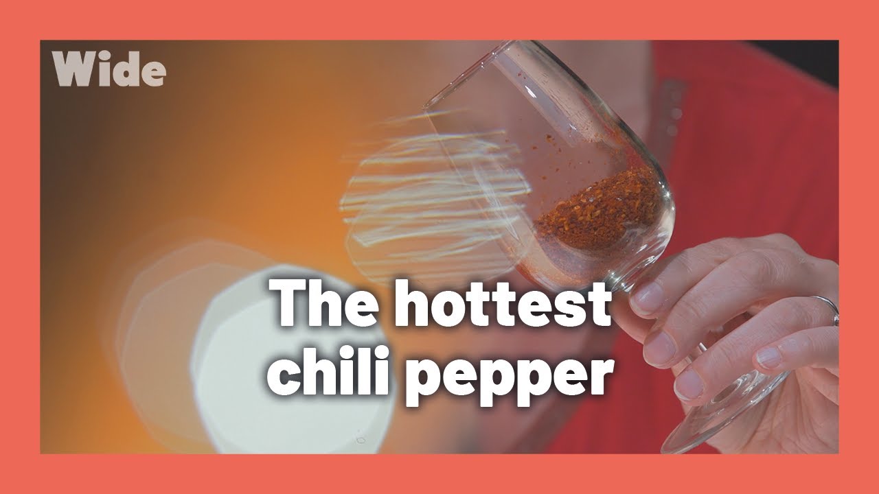 Espelette chili pepper: an addictive spice I WIDE